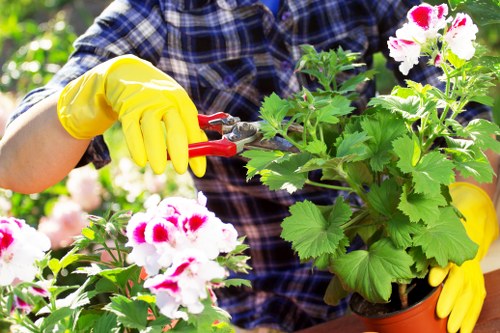 Cookie policy introduction for Landscapers Canary Wharf