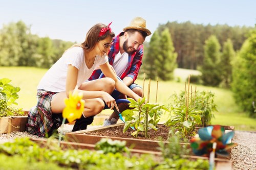 Choosing the right plants for urban gardens