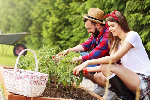Modern landscape maintenance in Canary Wharf