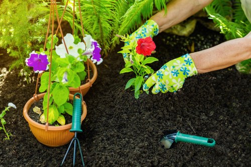 A close-up view of a gardener's hands wearing bright, patterned gardening gloves while planting a flower in rich, dark soil within a well-maintained garden. In the foreground, there are terracotta pots with vibrant purple and white petunias hanging from a decorative support. Nearby, garden tools including a green-handled trowel and a hand fork are placed on the ground, ready for gardening tasks. The background features lush green foliage, including ferns and leafy plants, creating a vibrant and healthy outdoor environment. The scene appears to be taken on a sunny day, with natural light illuminating the greenery and soil, emphasizing the organized and cared-for garden space typical of a professional landscaping service such as Landscapers Canary Wharf, serving urban gardens in Canary Wharf and surrounding areas.