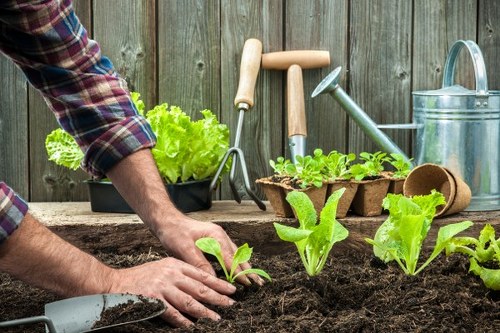 Illustration of accessible web content for Landscapers Canary Wharf
