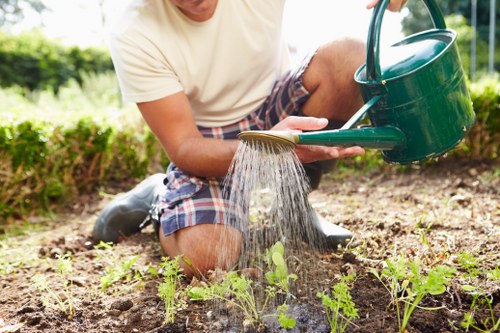 A person wearing a cream-colored t-shirt and plaid shorts is kneeling on dark, tilled soil in a garden, watering small, green seedlings with a green plastic watering can. The garden features a mix of young plants and bare soil, with a well-maintained grassy area and a hedge in the background. The scene is outdoors in natural daylight, likely during a mild or sunny day, illustrating early-stage gardening or landscaping activities common in urban outdoor spaces such as gardens in Canary Wharf. The image reflects gardening and outdoor maintenance services, emphasizing plant care and cultivation in a landscaped urban environment. The focus is on the individual actively watering the plants, supporting the importance of ongoing garden maintenance by professional landscapers like Landscapers Canary Wharf.