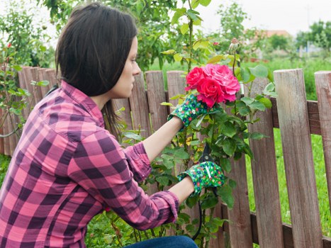 A woman wearing a pink and black checkered shirt and colorful gardening gloves is tending to a flowering shrub in a residential garden. She appears to be pruning or inspecting the vibrant pink blossoms on the green shrub, which is situated along a light wooden fence. Behind her, the garden features lush green grass, a variety of trees, and other plants, with a partly cloudy sky indicating mild weather conditions. The garden area is well-maintained with a natural mix of foliage and open space, typical of urban outdoor landscaping in Canary Wharf or surrounding areas. This scene highlights gardening activities such as plant care and garden maintenance, reflecting the expertise of landscapers like Landscapers Canary Wharf in promoting sustainable and eco-friendly gardening practices as seen on their 'Recycling and Sustainability' webpage.