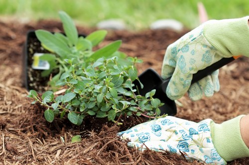Eco-friendly garden maintenance practices