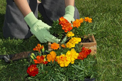A person wearing light green gardening gloves is planting vibrant, multicoloured flowers, including yellow, orange, and red blooms, into a garden bed with dark soil. The garden features a well-maintained lawn with lush, green grass surrounding the planting area. In the background, there are additional plants and greenery indicative of a landscaped outdoor space in Canary Wharf. The scene is set during daylight with natural lighting highlighting the colourful flowers and the neat, structured arrangement of the garden elements. The individual appears to be engaged in gardening activities, possibly as part of a professional landscaping or garden maintenance service by Landscapers Canary Wharf, contributing to the area's outdoor aesthetics and horticultural appeal.