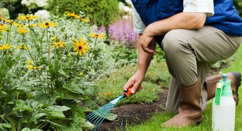 A gardener kneeling on a well-maintained lawn in a landscaped outdoor space, tending to a flower bed bordered by a narrow strip of soil. The flower bed contains a variety of plants, including tall yellow flowers with dark centers in the foreground and purple-flowered plants further back, creating a vibrant mix of colours. The lawn surface is lush and green, with neatly trimmed grass. In the background, there are additional greenery and trees, contributing to a tidy, well-established garden setting typical of outdoor residential landscaping in Canary Wharf or similar areas. The gardener is wearing a blue shirt and beige trousers, and is using a small hand rake or tool, indicating ongoing planting or maintenance work. A garden water spray and a white watering can are visible nearby, suggesting routine garden care. The scene is lit by natural daylight, with soft shadows indicating a clear day, enhancing the natural tones and textures of the garden elements and supporting the local SEO focus on professional gardening services in the Canary Wharf area.