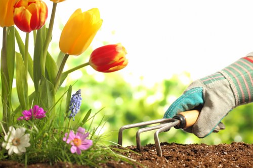 A close-up view of a gardener's hand wearing a protective glove, using a hand rake to loosen dark, rich soil in a garden bed. The foreground features colorful tulips in shades of orange, yellow, and red, along with purple and white flowers and lush green foliage. The garden is part of a landscaped outdoor space, possibly in Canary Wharf, with a background of blurred greenery illuminated by natural daylight, indicating a bright, clear day. The textured soil contrasts with the vibrant flowering plants, highlighting the ongoing gardening or planting tasks typical of professional garden maintenance and landscaping services offered by Landscapers Canary Wharf, showcasing a well-maintained, colorful garden environment suited for enhancing outdoor spaces within urban settings.