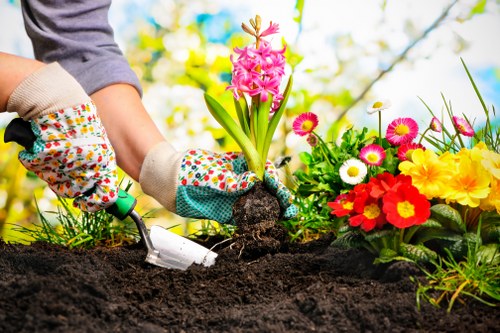 A person wearing beige gardening gloves and a grey long-sleeved shirt is planting a pink hyacinth flower in dark, rich soil. Their hands are holding the flower's stems and a small gardening trowel, which is partially inserted into the soil. To the right, there is a colorful array of flowering plants, including red, yellow, and white blooms, as well as pink daisies and other garden flowers, arranged in a garden bed. The background features a bright outdoor environment with green trees and a clear blue sky, suggesting a sunny day in a residential garden or landscaped outdoor space. The scene emphasizes gardening activities related to flower planting and outdoor maintenance, possibly part of a landscaping or garden care service in Canary Wharf or nearby London districts.