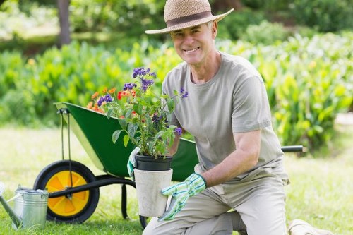 A mature man wearing a straw hat, light grey t-shirt, and gardening gloves kneels on a well-maintained lawn in a backyard garden, holding a pot with purple flowering plants and red flowers. Behind him, a green wheelbarrow with yellow wheels is positioned on the grass, along with a metal watering can nearby. The garden features a lush hedge or shrubbery in the background, with various green foliage and trees providing shade. The scene is brightly lit, suggesting a sunny day, and the overall environment appears tidy and inviting, highlighting ongoing gardening or planting activity typical of outdoor maintenance services in Canary Wharf or similar London areas. The natural tones of the grass, plants, and wooden elements combine to create a vibrant and healthy garden space, reflecting a professionally managed outdoor environment suitable for garden renovations or landscaping projects.