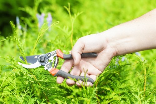 A close-up view of a person's hand using a pair of orange and black pruning shears to trim green ferns in a well-maintained garden, with lush foliage and various plant varieties visible in the background. The scene depicts an outdoor garden space, likely part of a landscaped yard or outdoor area in Canary Wharf, with vibrant natural tones and healthy plant growth. The soil appears dark and fertile, and the surrounding greenery includes leafy shrubs and garden plants, suggesting active gardening and maintenance work by landscapers such as Landscapers Canary Wharf. The weather seems clear, providing natural sunlight that illuminates the garden and highlights the textures of the plants and tools, creating an inviting outdoor environment suitable for professional gardening services focused on lawn, flower bed, and hedge care in the area.