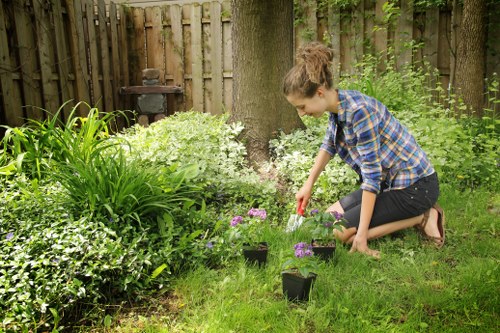 A woman in a blue checked shirt and black jeans is kneeling on a well-maintained grassy garden lawn, planting purple flowers into small black pots. The garden features a variety of lush green plants, including tall ornamental grasses and flowering shrubs, with a large tree trunk visible in the background. A wooden fence surrounds the space, providing privacy, and a weathered garden ornament can be seen near the fence line. The scene appears to be taking place on a bright, mild day in Canary Wharf, with natural outdoor lighting highlighting the vibrant greens and colorful flowers, exemplifying sustainable gardening practices that Landscapers Canary Wharf might support.