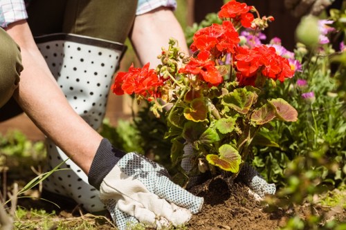 A gardener wearing gardening gloves is planting a red flowering plant in a landscaped garden area with rich, dark soil. The garden features a lawn with dense, green grass and a border of mixed flowering plants and shrubs with varying shades of green foliage. In the background, there are trees providing natural shade, and the scene appears to be outdoors on a bright, sunny day, with dappled sunlight illuminating the garden. The setting includes a neatly maintained lawn, edged with wooden or stone borders, and the overall environment suggests a well-kept, residential outdoor space that benefits from professional gardening services such as planting, lawn care, and landscaping maintenance in Canary Wharf and the surrounding London area.