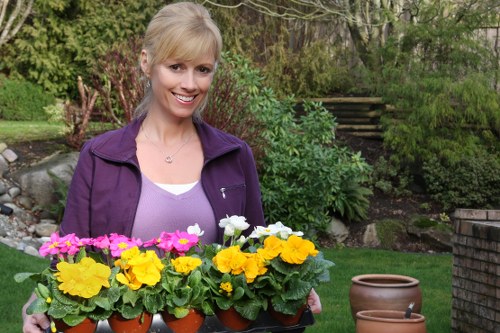 A woman with blonde hair, wearing a purple jacket and white top, smiling while holding a tray of colorful flowering pots on a well-maintained garden lawn. The background features lush green shrubs, trees, and a stone pathway leading up to a wooden staircase, indicative of a landscaped outdoor space typical of a garden in the Canary Wharf area. The scene is set on a bright, clear day, highlighting the vibrant spring flowers in shades of pink, white, and yellow, and the neat, tidy appearance of the garden with potted plants and green grass. The garden includes a combination of grass, flower beds, and paved stepping stones, with mature trees and dense foliage creating a natural backdrop. Landscapers Canary Wharf may undertake such garden maintenance and planting projects, ensuring lush, attractive outdoor spaces in the local area.