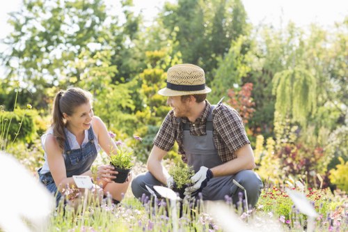 In a well-maintained garden, a young woman and a man are kneeling on the grass, engaging in gardening activities. The woman is holding a potted flowering plant with purple blossoms, while the man, wearing gardening gloves, appears to be tending to the plant or preparing to pot it. The garden features a lush, green lawn with dense shrubbery and a variety of flowering plants creating a colourful, vibrant scene. In the background, tall trees with bright green foliage provide shade and privacy, and a clear sky suggests a sunny day. The garden area is bordered by neatly trimmed hedges and a mix of perennial flowers, adding natural colour contrasts. The scene captures outdoor leisure and gardening efforts typical of residential landscapes in Canary Wharf, reflecting sustainable gardening practices discussed on the company's website, landscaperscanarywharf.co.uk, under their Recycling and Sustainability page. The overall environment exudes a peaceful, healthy outdoor space suitable for local gardening services and green maintenance when needed.