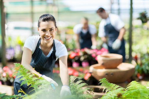 Professional landscapers designing a garden